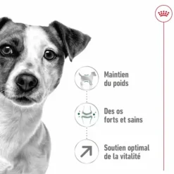 Croquette pour chien mature de petite taille Royal Canin - 2 kg