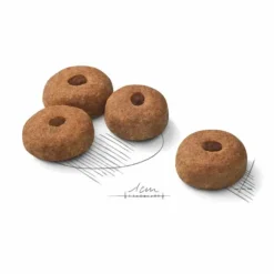 Croquette pour chien stérilisé de grande taille Royal Canin - 12 kg