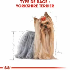 Croquette pour chien Yorkshire Royal Canin - 3 kg