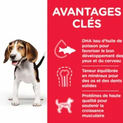 Croquette pour chiot au poulet Hill's - 12 kg