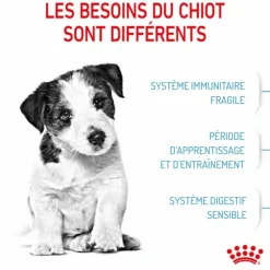 Croquette pour chiot Royal Canin - 2 kg