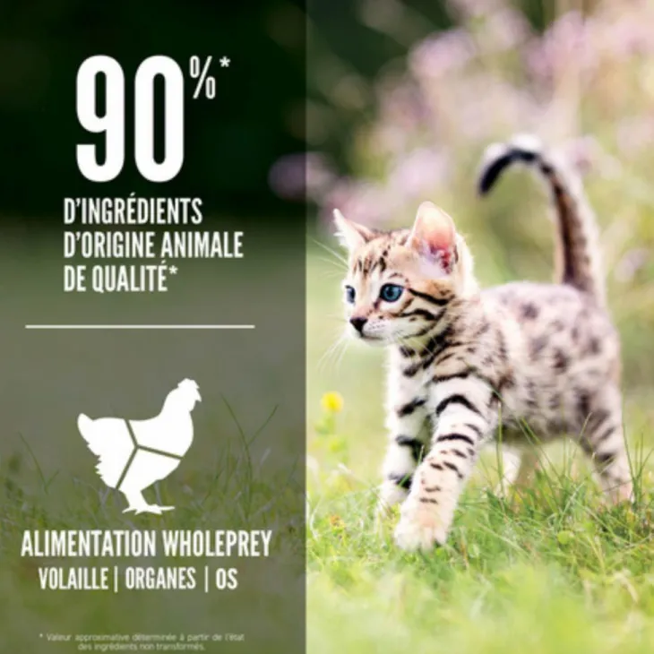 Croquettes Orijen Chaton - 1,8 kg