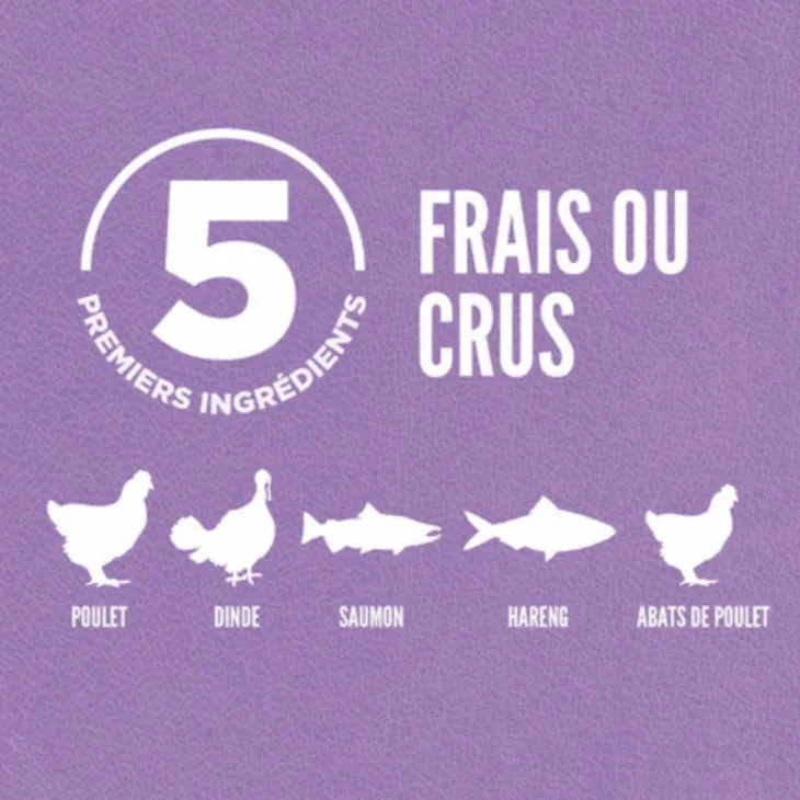 Croquettes Orijen Chaton - 1,8 kg