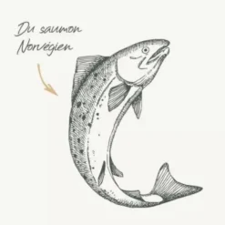 Croquettes pour chat adulte stérilisé au saumon sans céréales Bab'in Signature - 3 kg