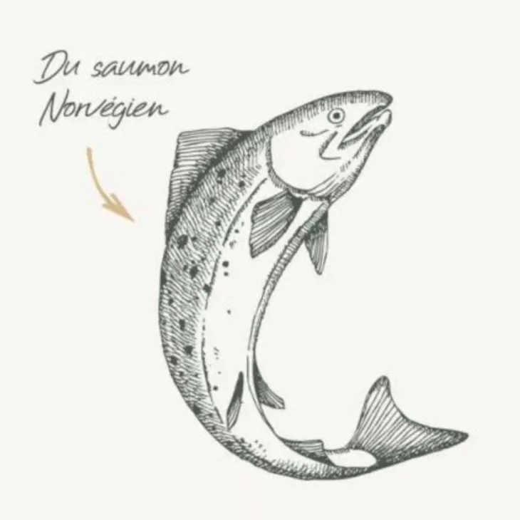 Croquettes pour chat adulte stérilisé au saumon sans céréales Bab'in Signature - 3 kg