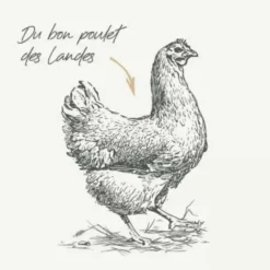 Croquettes pour chien junior au poulet sans céréales Bab'in Signature – 12 kg