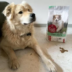 Croquettes pour chien medium adulte au poulet VivaCroc – 12 kg