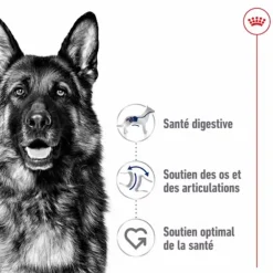 Croquettes pour chien Royal Canin Maxi adulte de + de 15 mois - Le sac de 15 kg