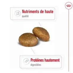 Croquettes pour chien Royal Canin Maxi adulte de + de 15 mois - Le sac de 15 kg