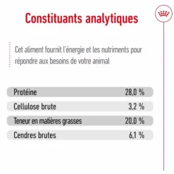 Croquettes pour chien Royal Canin Giant adulte de + de 45 kg - Le sac de 15 kg