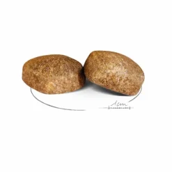 Croquettes pour chien Royal Canin Giant adulte de + de 45 kg - Le sac de 15 kg