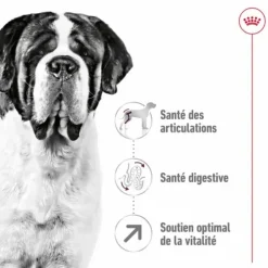 Croquettes pour chien Royal Canin Giant adulte de + de 45 kg - Le sac de 15 kg