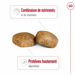Croquettes pour chien Royal Canin Giant adulte de + de 45 kg - Le sac de 15 kg