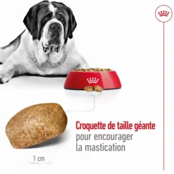 Croquettes pour chien Royal Canin Giant adulte de + de 45 kg - Le sac de 15 kg