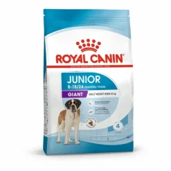 Croquettes pour chiot Royal Canin Junior active Giant - 15 kg