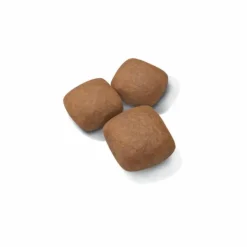 Croquettes pour chiot Royal Canin Junior active Giant - 15 kg