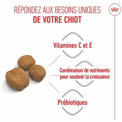 Croquettes pour chiot Royal Canin Giant - 15 kg
