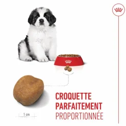 Croquettes pour chiot Royal Canin Giant - 15 kg