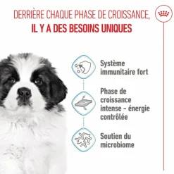 Croquettes pour chiot Royal Canin Giant - 15 kg