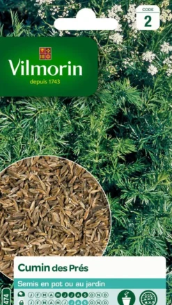 Cumin des Près Vilmorin - graines à semer