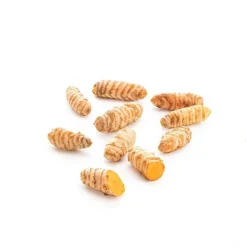 Curcuma bio du Pérou - prix au kg