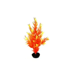 Cycared orange en plastique 28 cm