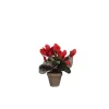 Cyclamen rouge plante artificielle en pot gris H 30 x Ø 30 cm