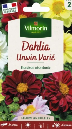 Dahlia Unwin Varié Vilmorin - graines à semer