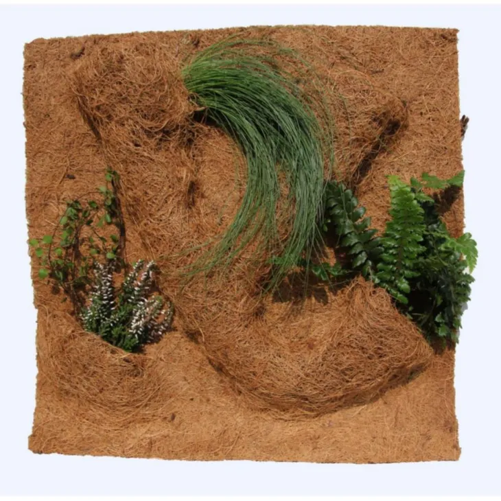 Décor de fond pour terrarium fibre de coco coloris marron Reptile Planet Planting Background - 40 x 40 x 10 cm