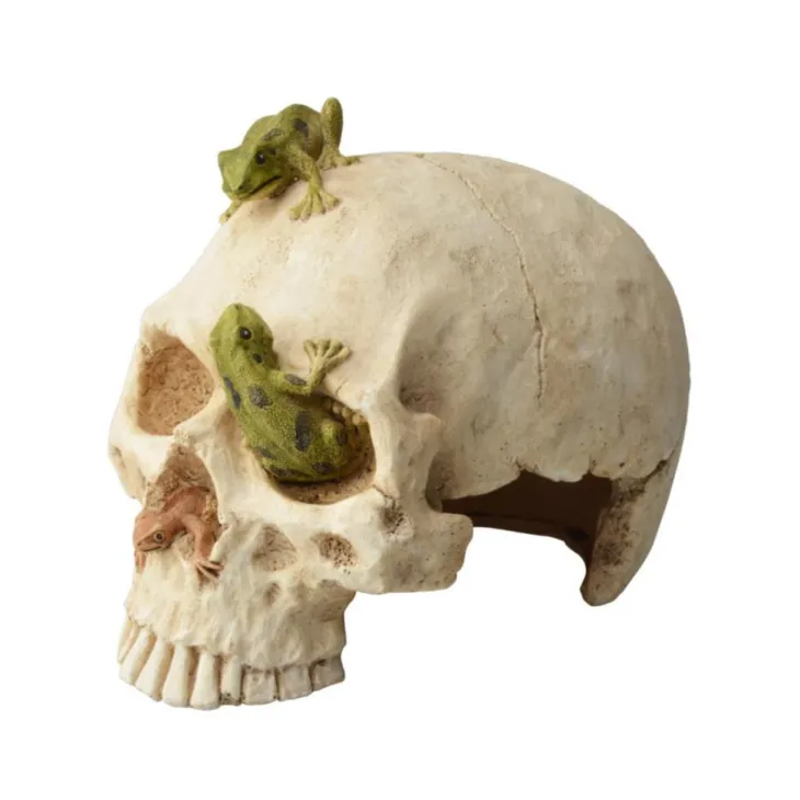 Décor pour terrarium en synthétique coloris blanc Aquavie crâne et grenouilles - 16,5 x 12 x 13 cm