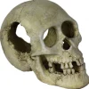 Décor pour vivarium en résine coloris blanc crâne humain Reptile Planet Sleeping Hollow Skull - 16 x 10 x 12 cm