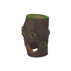 Décoration d'aquarium tronc ki pouss avec graines petit modèle