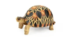 Décoration pour terrarium coloris multicolore en résine figurine tortue Terratlantis - 12,5 x 8,5 x 7 cm