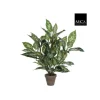 Dieffenbachia plante artificielle verte en pot gris H 70 x Ø 55 cm