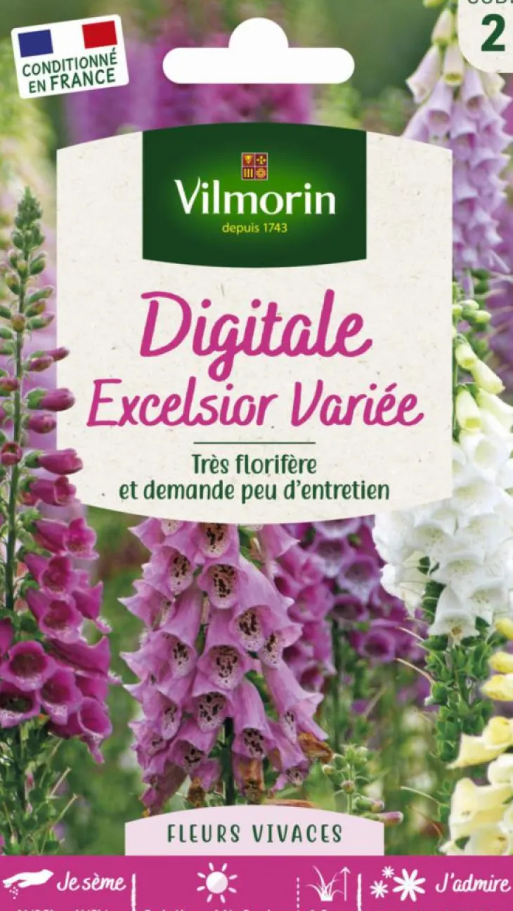 Digitale Excelsior Variée Vilmorin - graines à semer