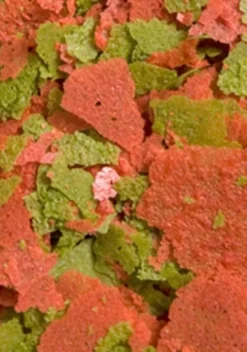 Discus Flakes - OCEAN NUTRITION - 70g