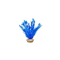 Dracaena bleu en plastique 13 cm