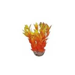 Dracaena orange en plastique 13 cm