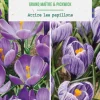 Duo crocus en mélange coloris violet botanic® - 10 bulbes