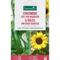 Duo de graines concombre vert long maraîcher et graines de tournesol (soleil uniflorus gigan) botanic® - graines à semer