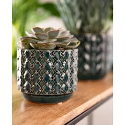 Echeveria + cache-pot céramique, Ø12 cm