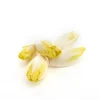 Endive bio de France - Prix au kg
