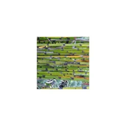 Equisetum Japonicum - Le pot de 2 litres