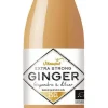Extra Strong Ginger gingembre Bio à diluer en bouteille de verre Vitamont - 25 cl