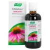 Extrait de Plantes Fraîches Echinacée - 50 ml