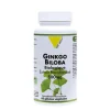 Extrait standardisé de ginkgo biloba bio en boite de 500 mg