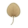 Feuille de palme pour décoration murale coloris beige - 41 x 68 x 1 cm