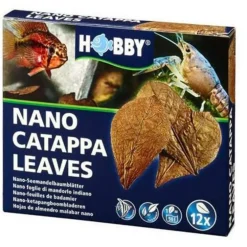 Feuilles de badamier nano catappa, pack de 12, HOBBY
