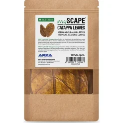 Feuilles de Badamier naturelles taille M, ARKA mySCAPE-Catappa - 10 pièces de 16.5/20 cm