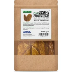 Feuilles de badamier taille L - ARKA mySCAPE-Catappa - 20,5/27cm - 10 pièces